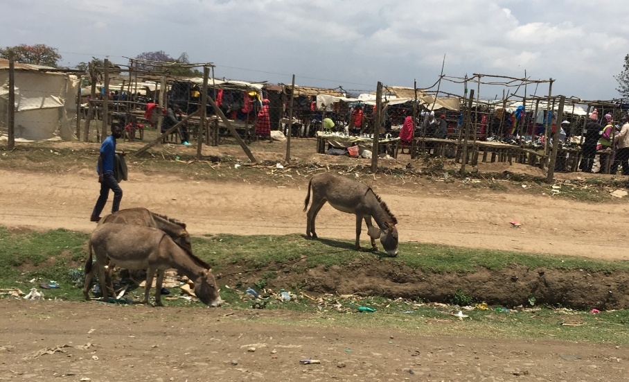Mules grazing with African village in background