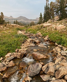 Stream of water running over rocks